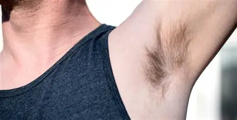 David Thake tweet media