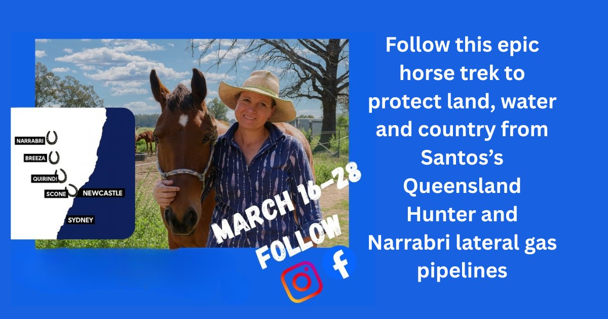 Knitting Nannas and Friends - Sydney tweet media