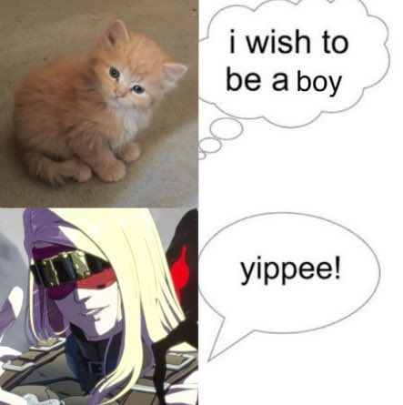 qu33n0fcha0s's tweet photo. gatito…. 🥺 https://t.co/TlNJmuOzMJ