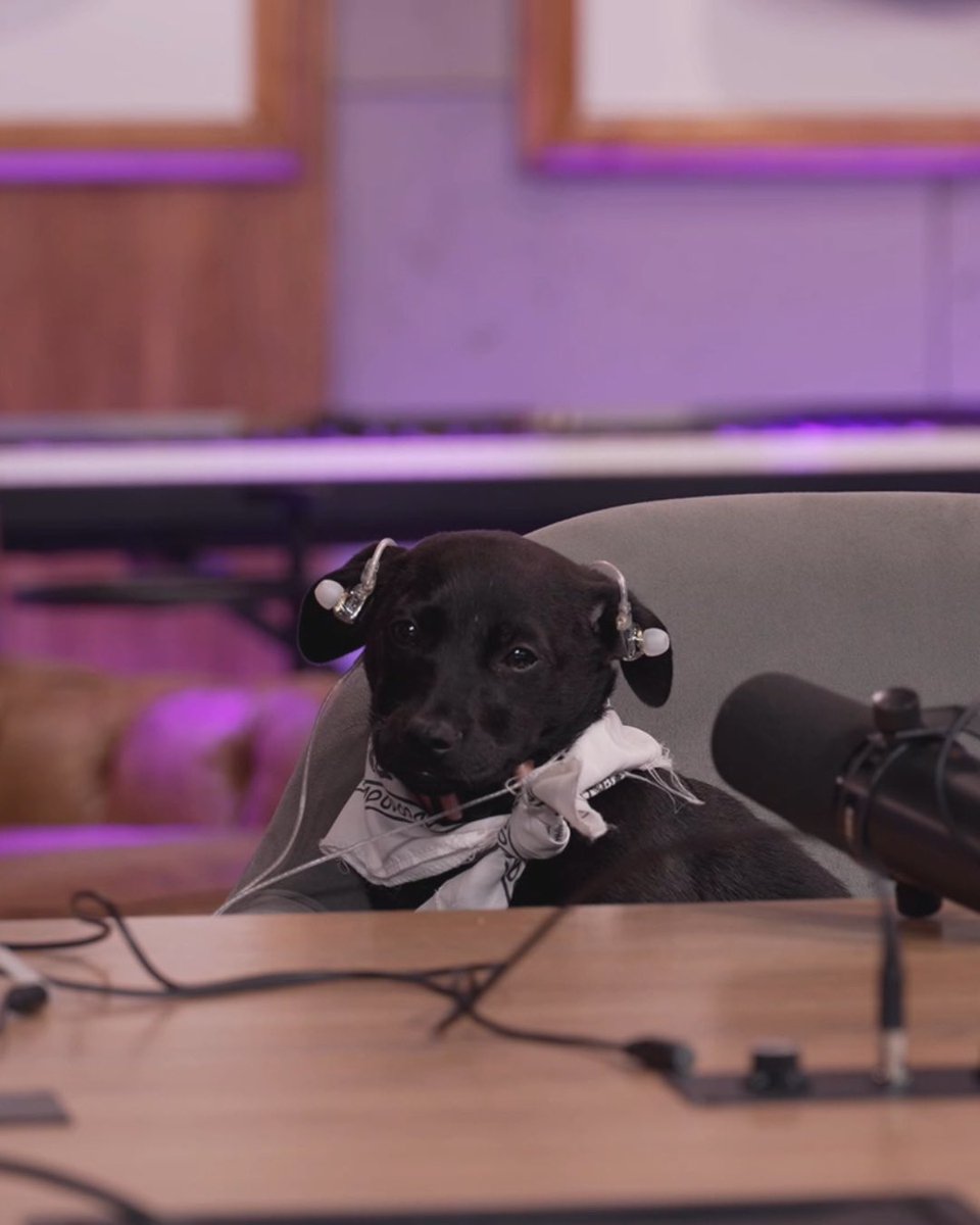 tapados de laburo 🌶 tweet media