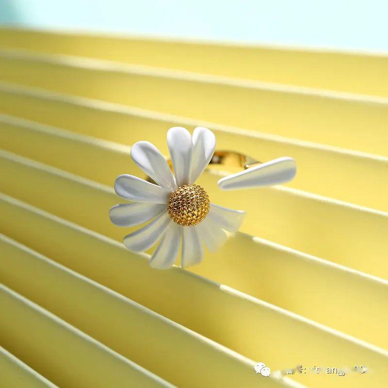 Dimitri Cazzuola tweet media