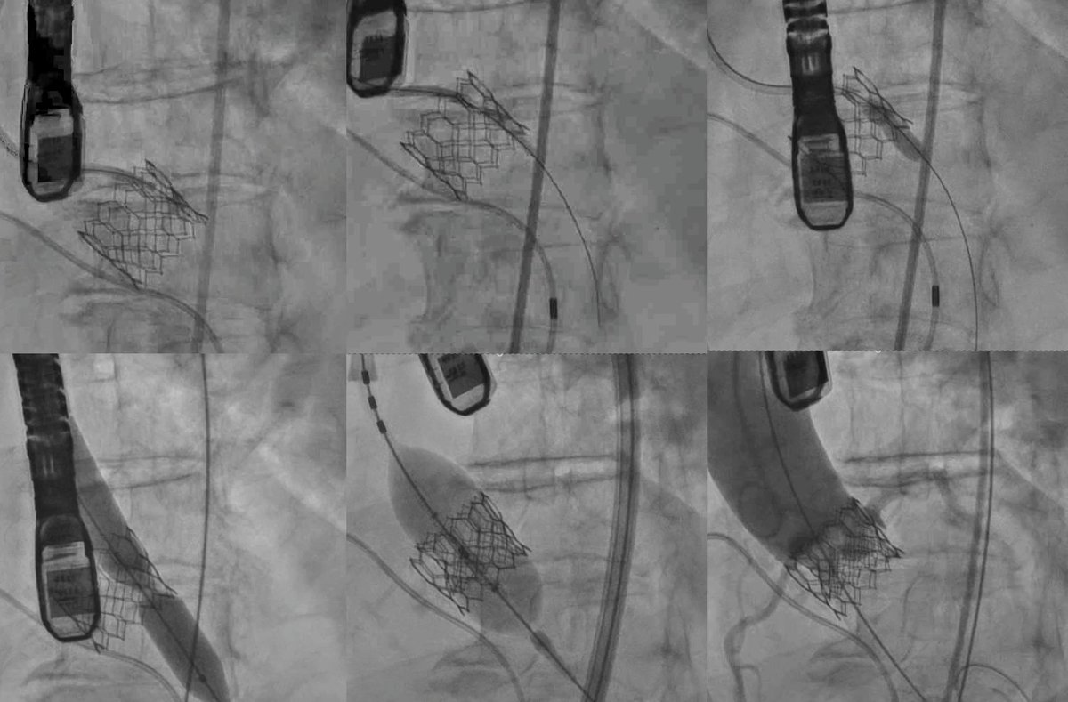 Muhammad Hammadah tweet media