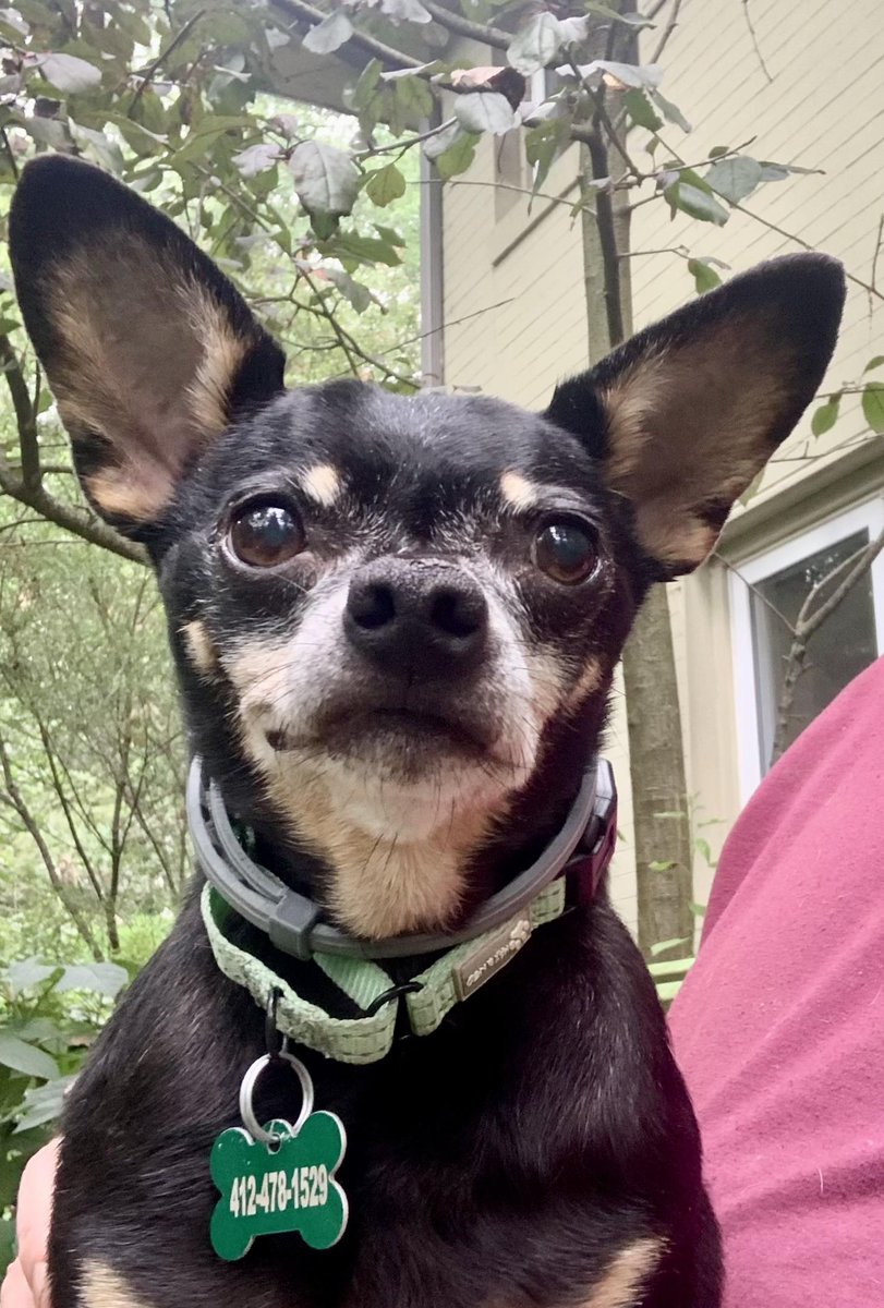 House with a Heart tweet media