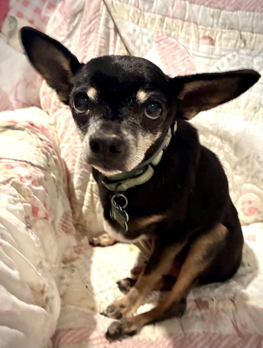 House with a Heart tweet media