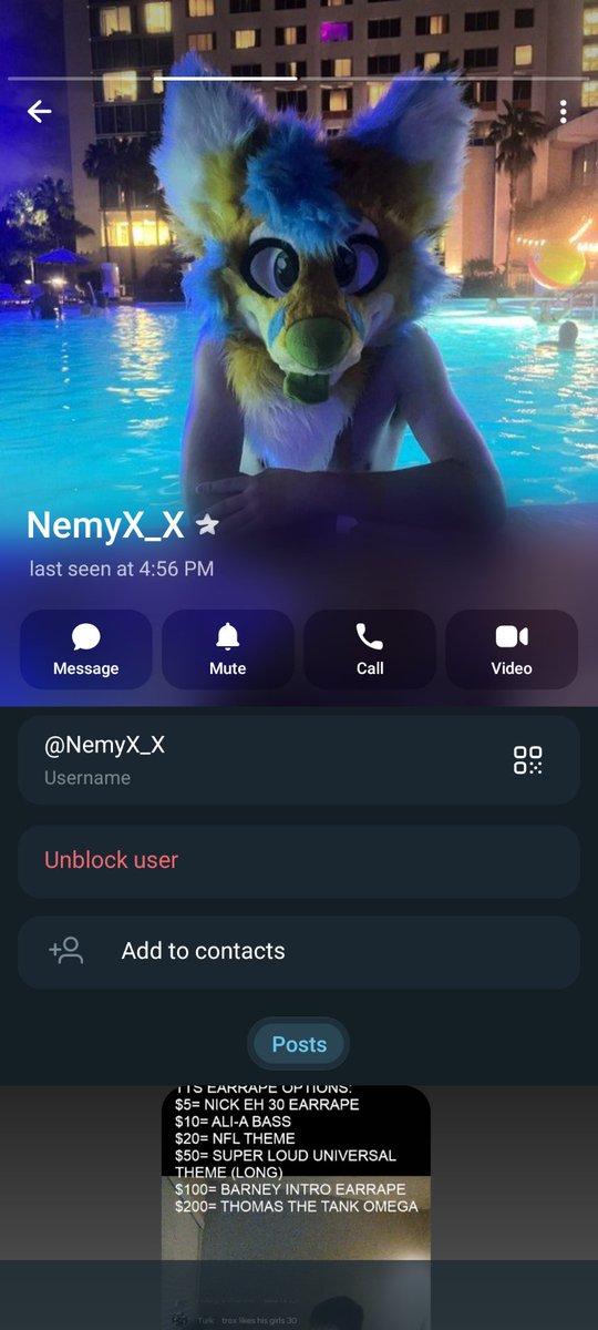 ThatRandomFox 🔜TFF tweet media