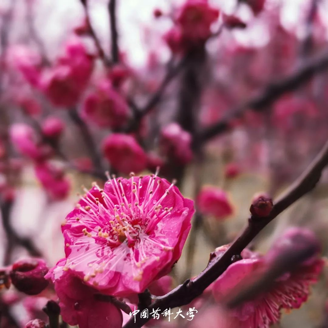 artgobblers_bot tweet media