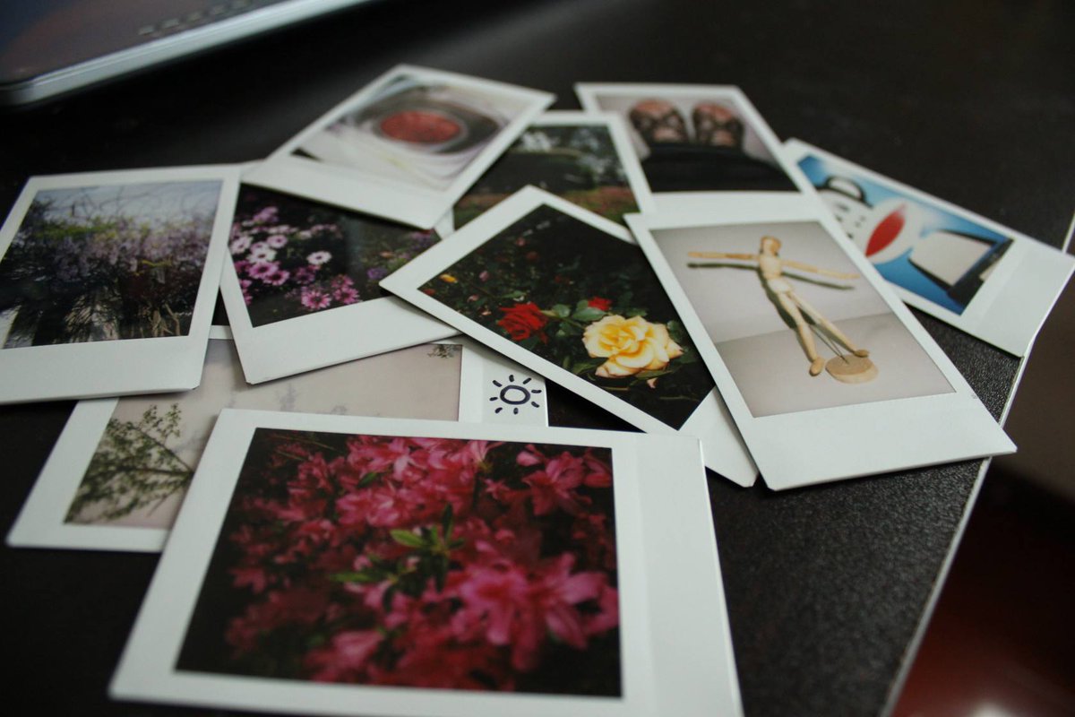 Timothy W. Nestorak tweet media