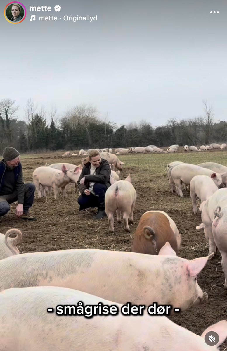 Mads Bisgaard tweet media