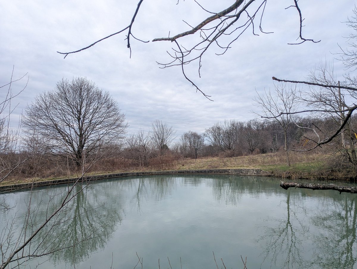 Two Winters Woods tweet media