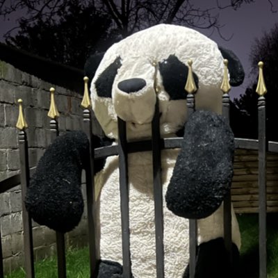 abazakbal's tweet photo. #NoweProfilowe https://t.co/wgProZCG23