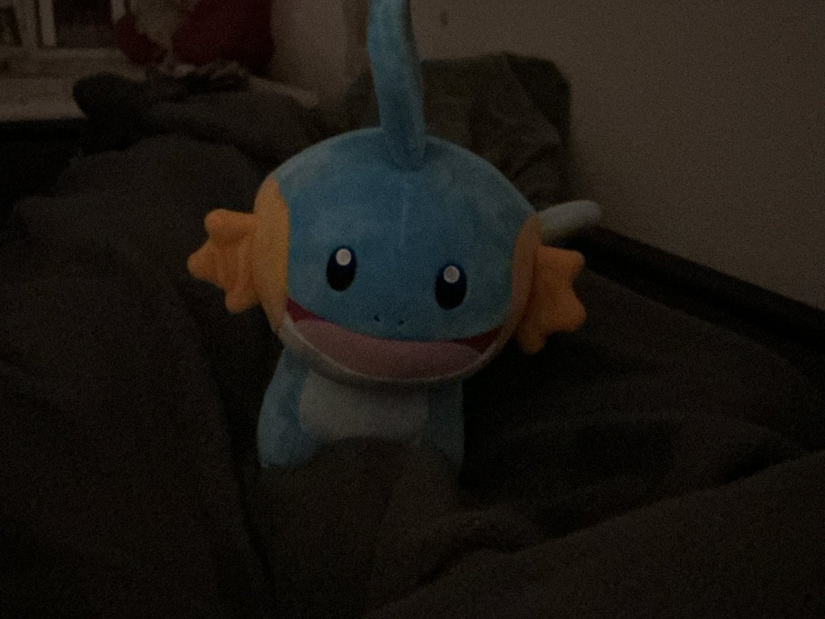 star_ccji's tweet photo. mudkip https://t.co/MUZ7M5aoIY