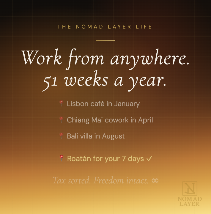 Nomad Layer tweet media