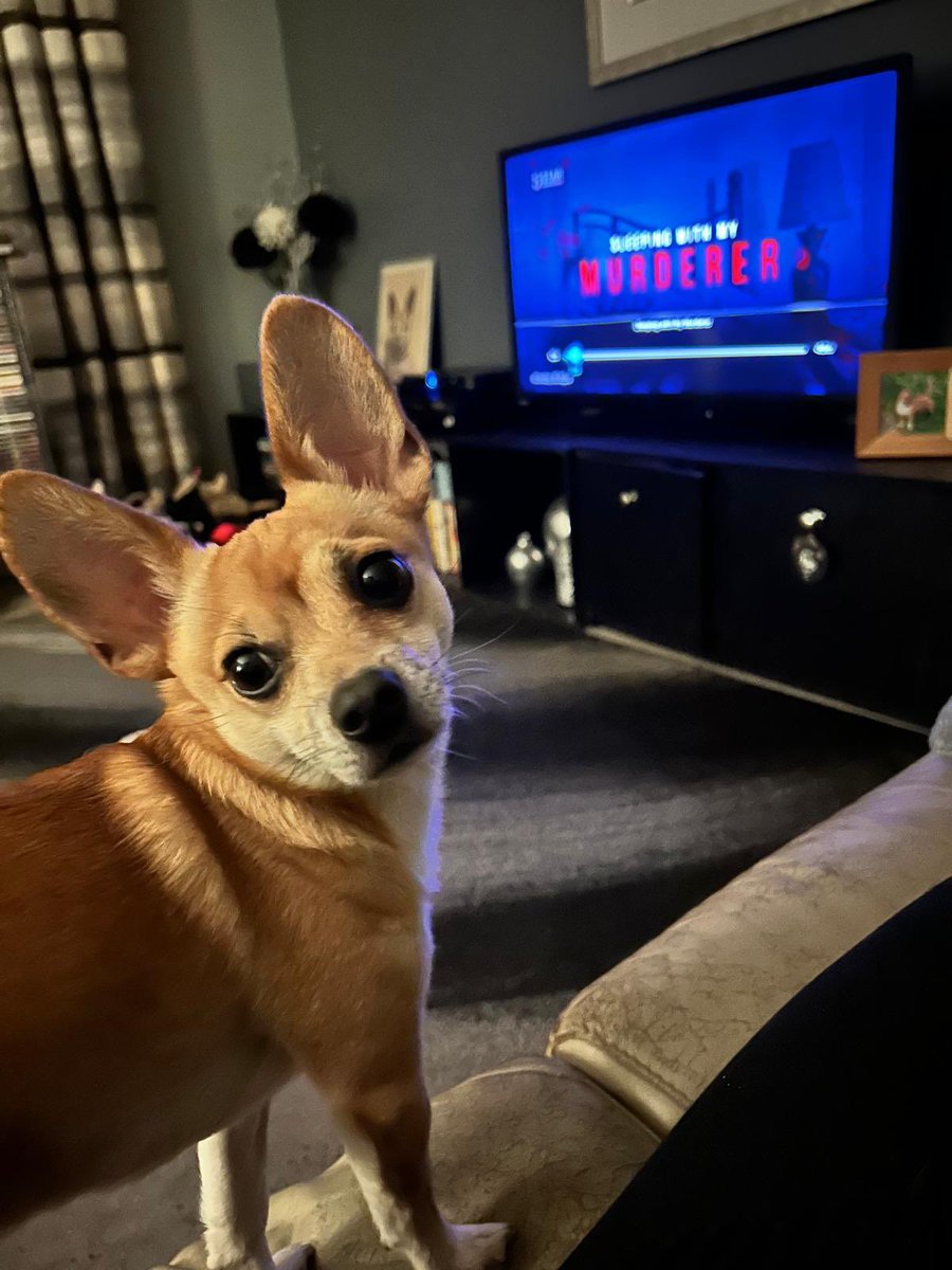 Charlie Pye tweet media