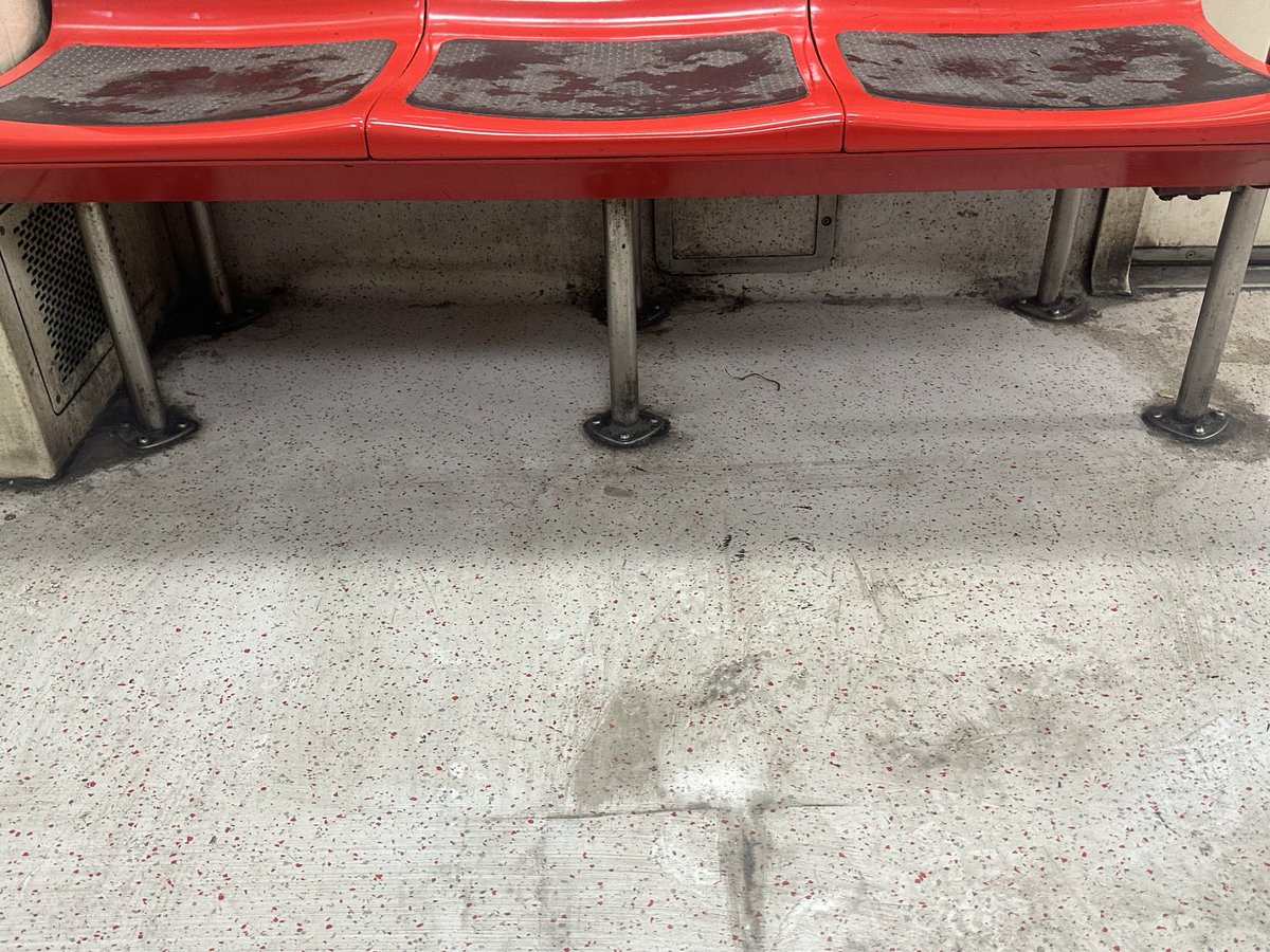 Gabo Figueroa🧔🏽🏋🏽⚽️ tweet media