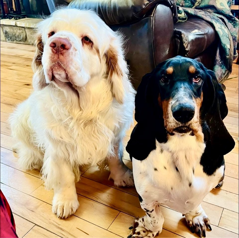 Ohio Bobcat Hockey Blueline Boosters tweet media