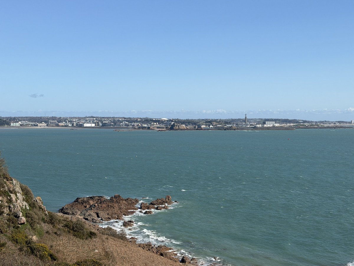 Sybil Baldwin #TheSpiderWhisperer 🕷 tweet media