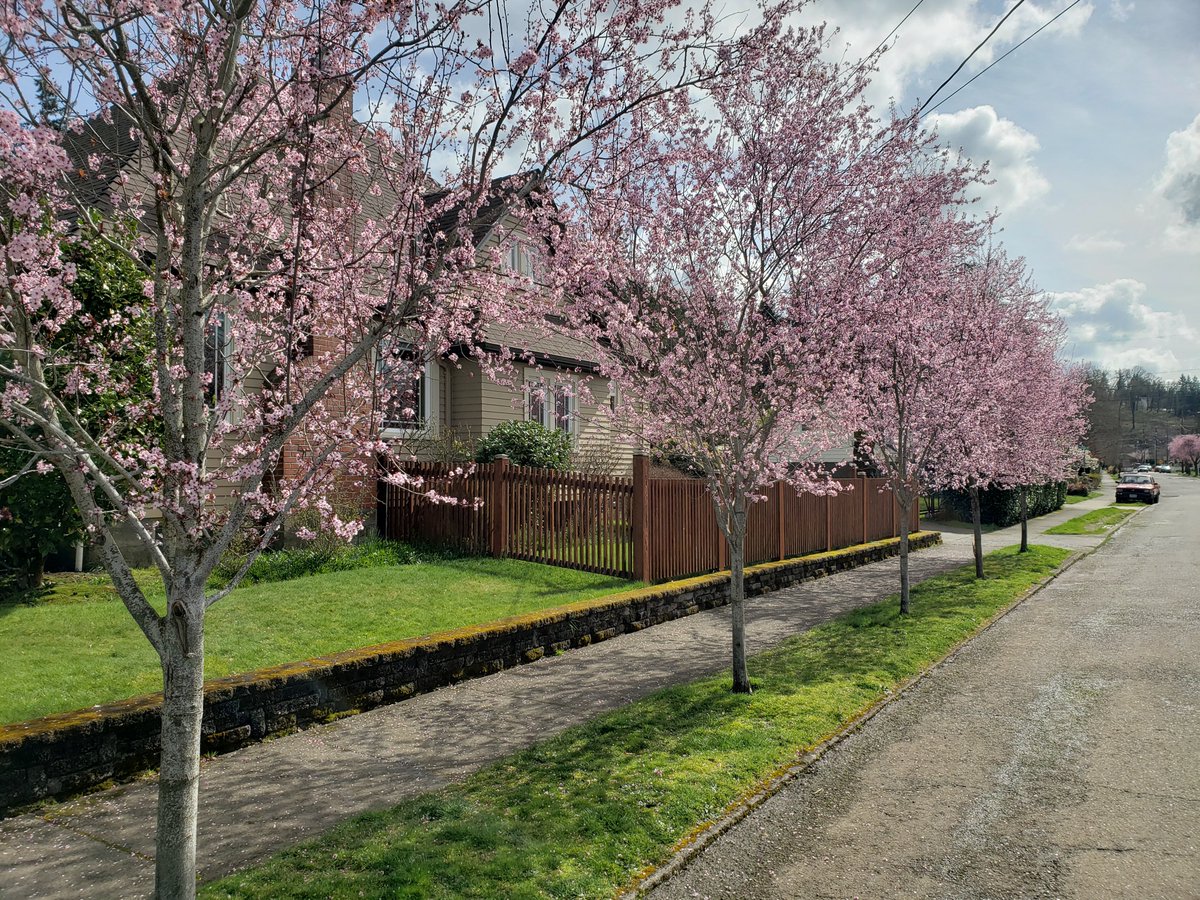 James Day tweet media