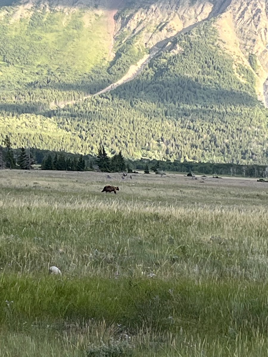 yyccrime's tweet image. To the Indian driver honking his horn while I safely parked &amp;amp; left lots of room to pass with my hazards on etc. Get the hell out of Alberta. You pray to a demon thanks. #abpoli #Deport 🇮🇳