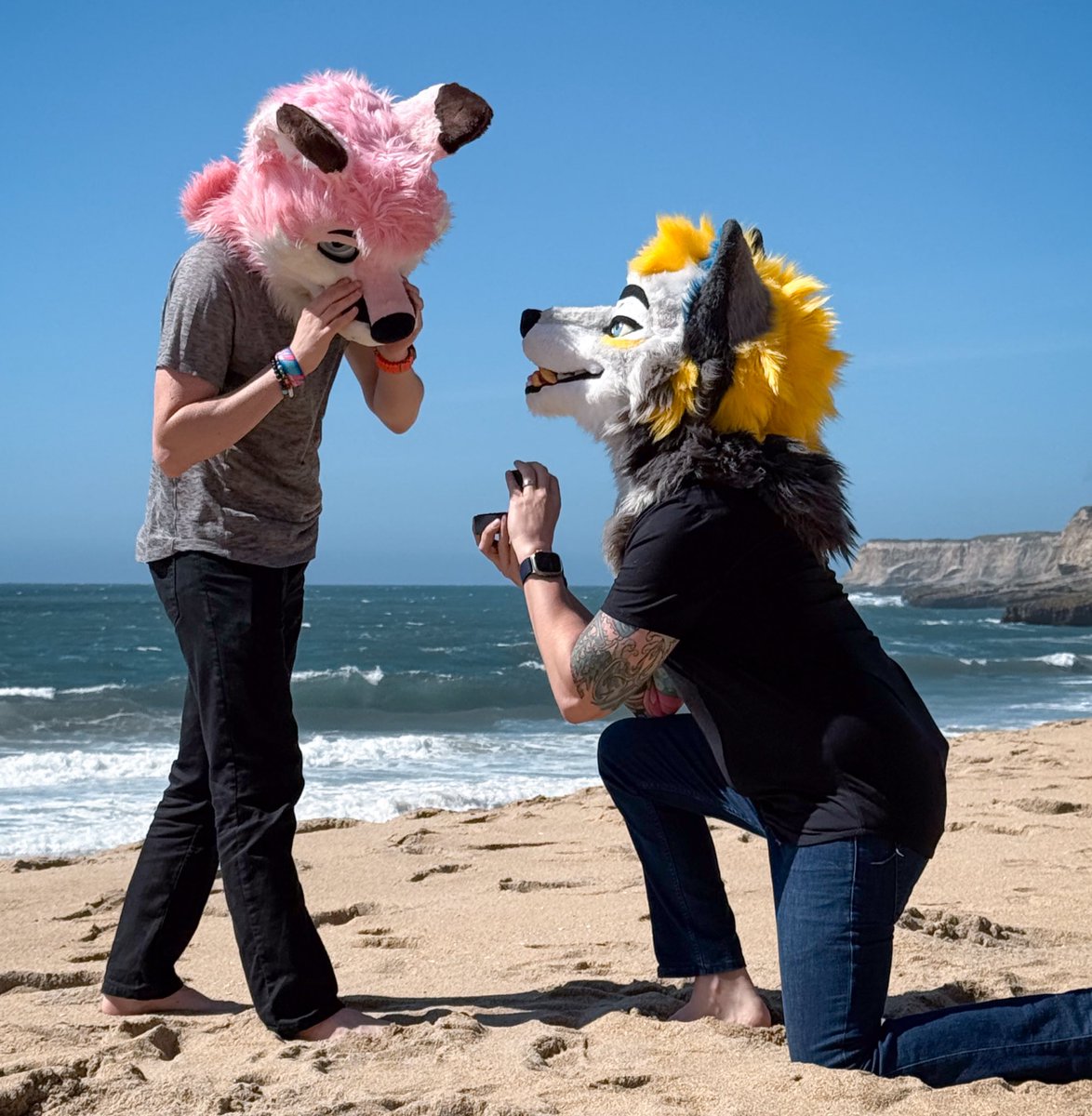 pjfoxes 🦊 🩷 tweet media