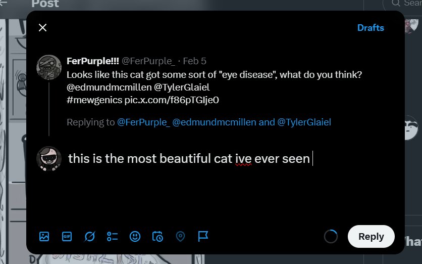 BestViolence's tweet photo. sometimes i write replies then decide not to post them cause i feel second hand embarrassment for myself https://t.co/YYU1aLkqD7
