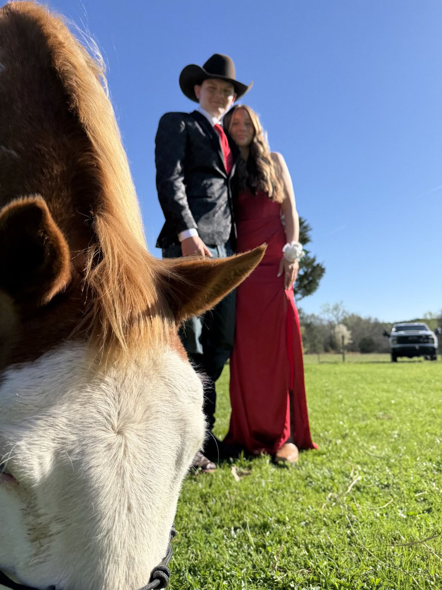 Luke Stansell 🏈⚾️ tweet media