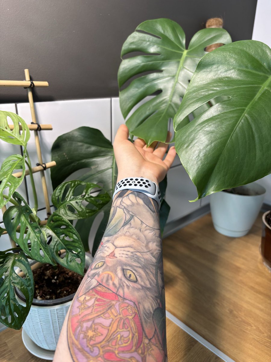 tammy swanson swanson tweet media