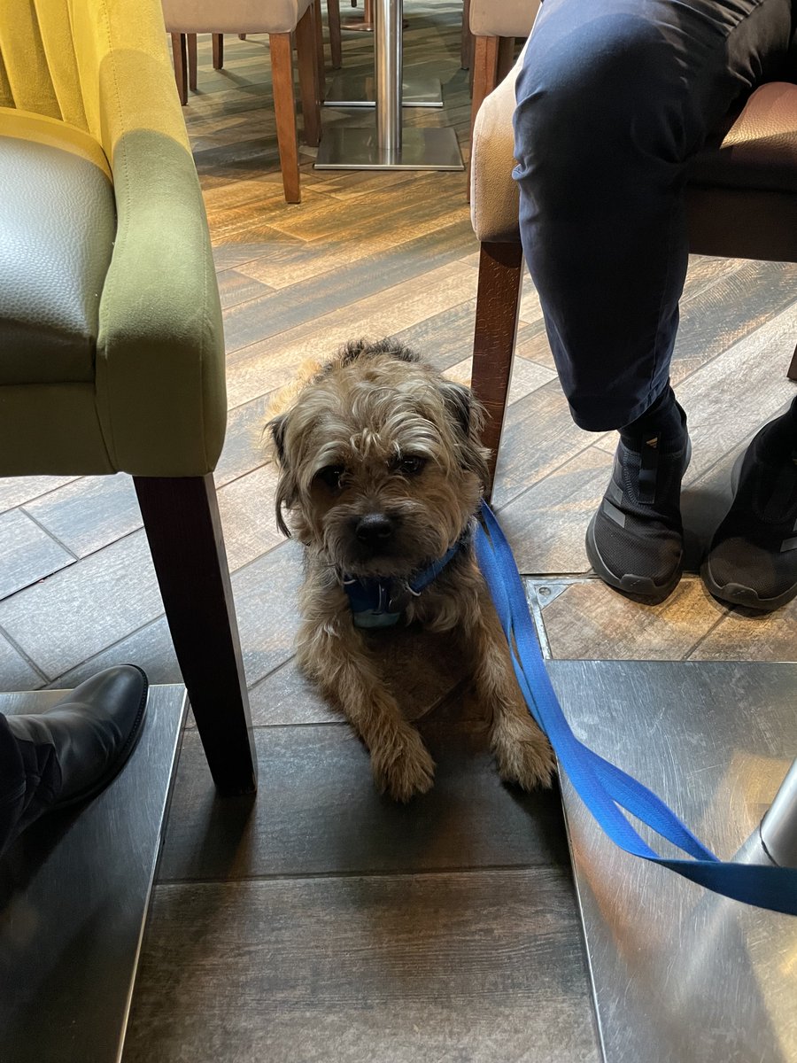HomesChristineH's tweet image. #MotheringSunday #MothersDay at Delifonseca. So lovely #Benedict #BTPosse could join in with the celebration ⁦@revdlouisjj⁩  🐶🌼