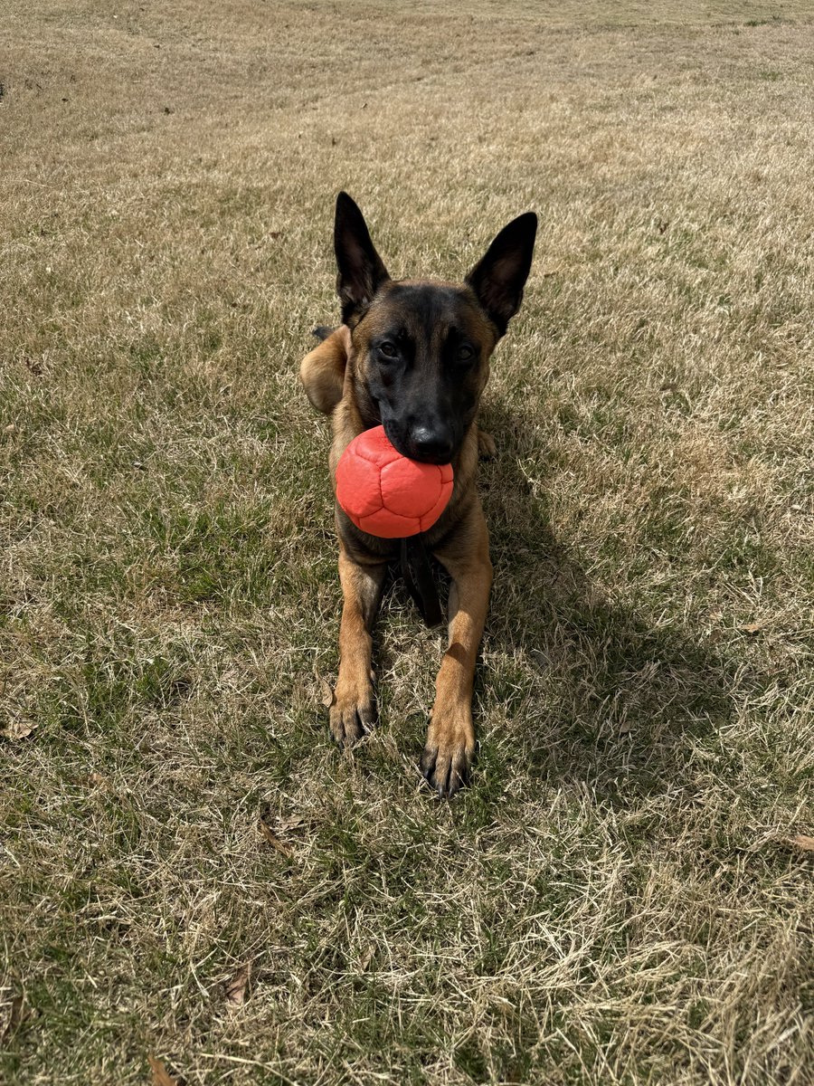 Anthony Cumia tweet media