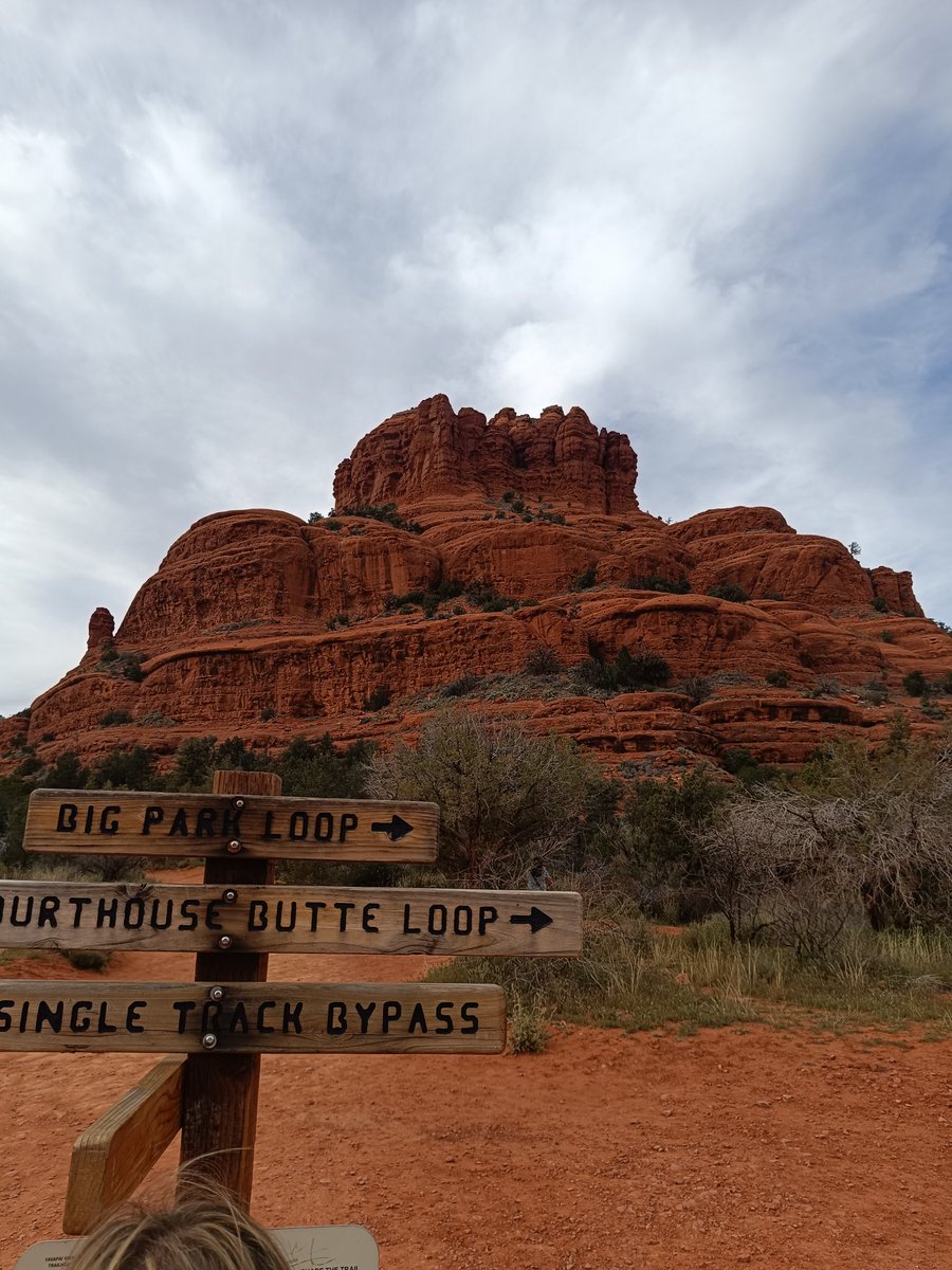 Jaume Tur-Martínez tweet media