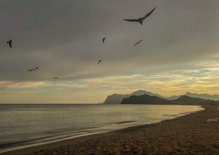 Yaklaş; yasak meyvenin çürüdüğü daldayım, 
 Yaklaş; denize kırgın deli bir kumsaldayım.. 

Nurullah Genç