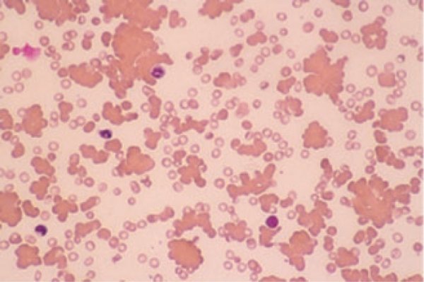 الجودة والتطوير tweet media