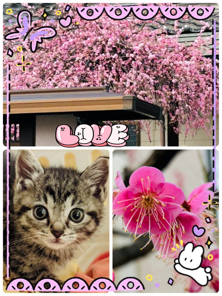 .
想いは
思いとして

過去に縛られて
振り向いてばかり
では成長はなく

良き経験として
前を向いて歩く

それがきみと
出会った意味　かも

✩⡱月曜日．．．。yuria..𖧧*
＃Love感謝しかないです
＃今週もよろしくお願いします