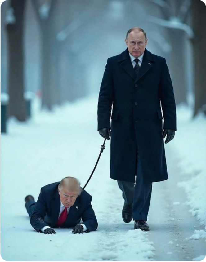 Sean Bond tweet media