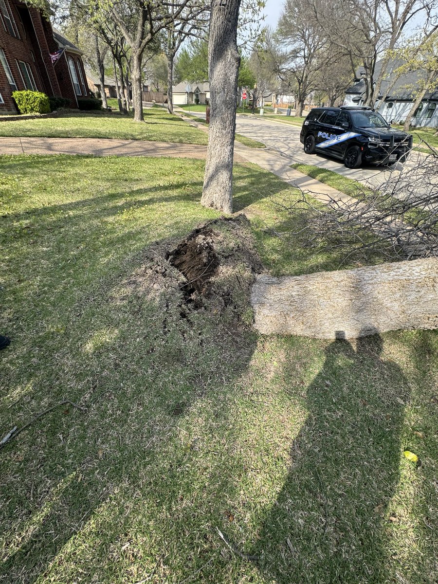 🌪️ The WX Store🌪️ tweet media