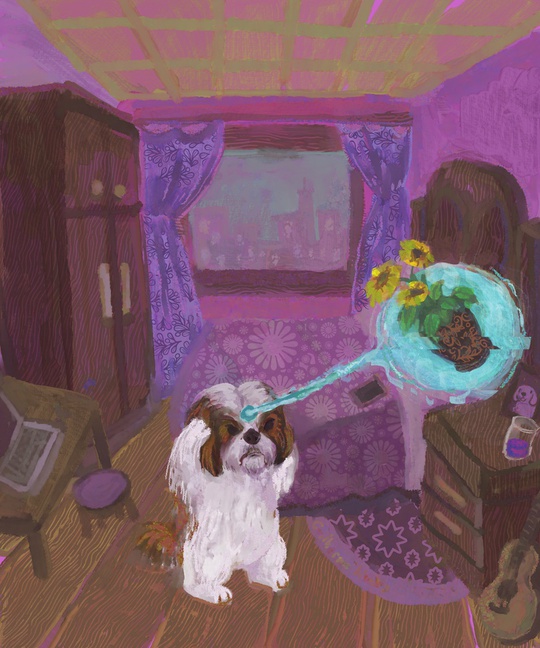 Guilherme Nunes tweet media