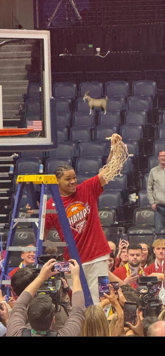 jereomy morrow tweet media