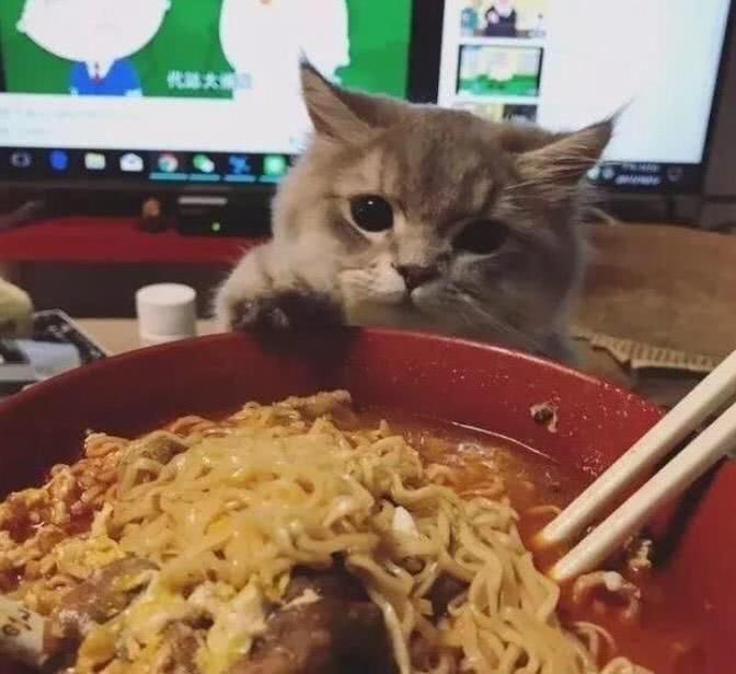 naky as cats 🐈‍⬛ tweet media