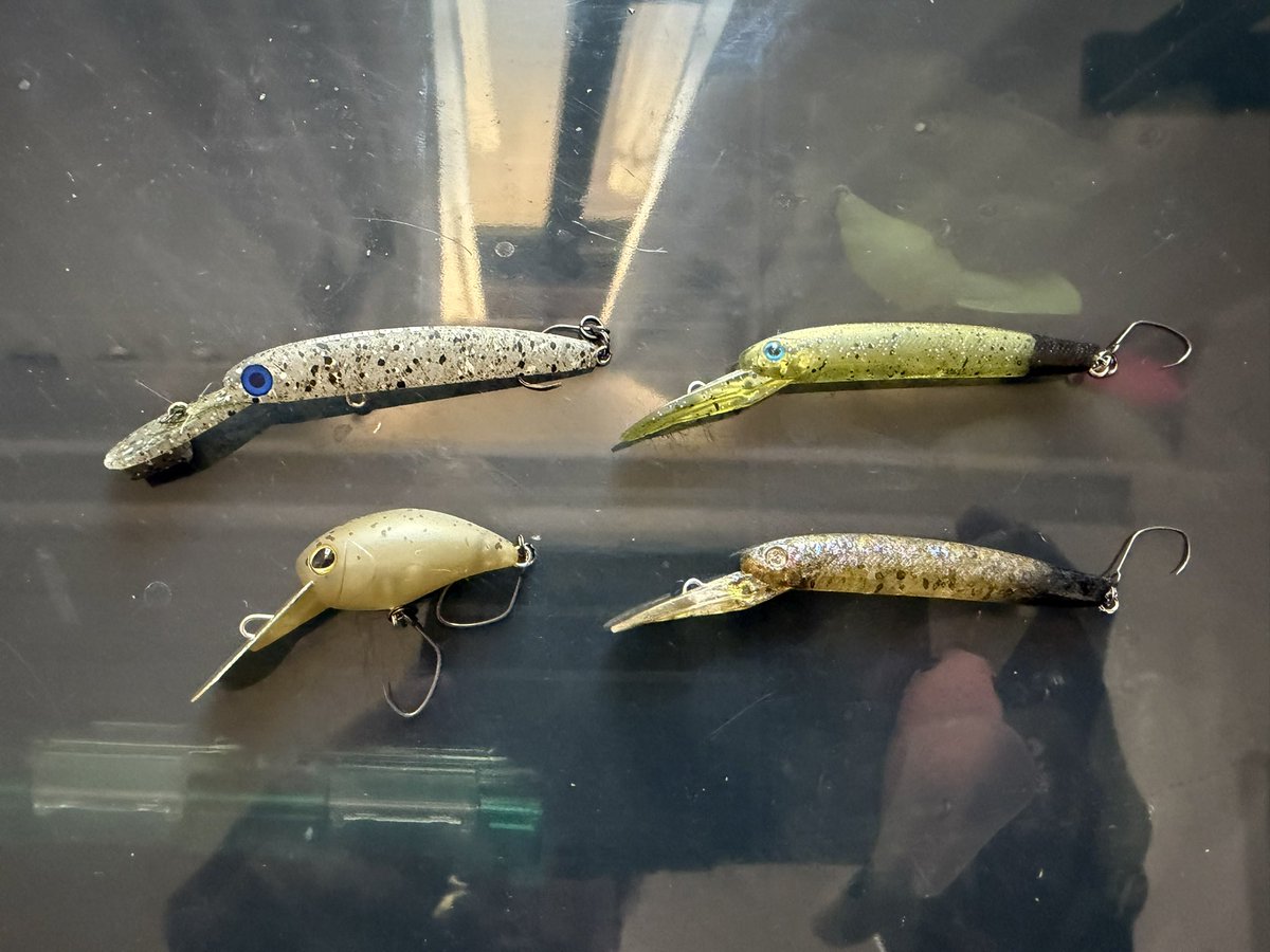 うえだ_釣りアカ tweet media