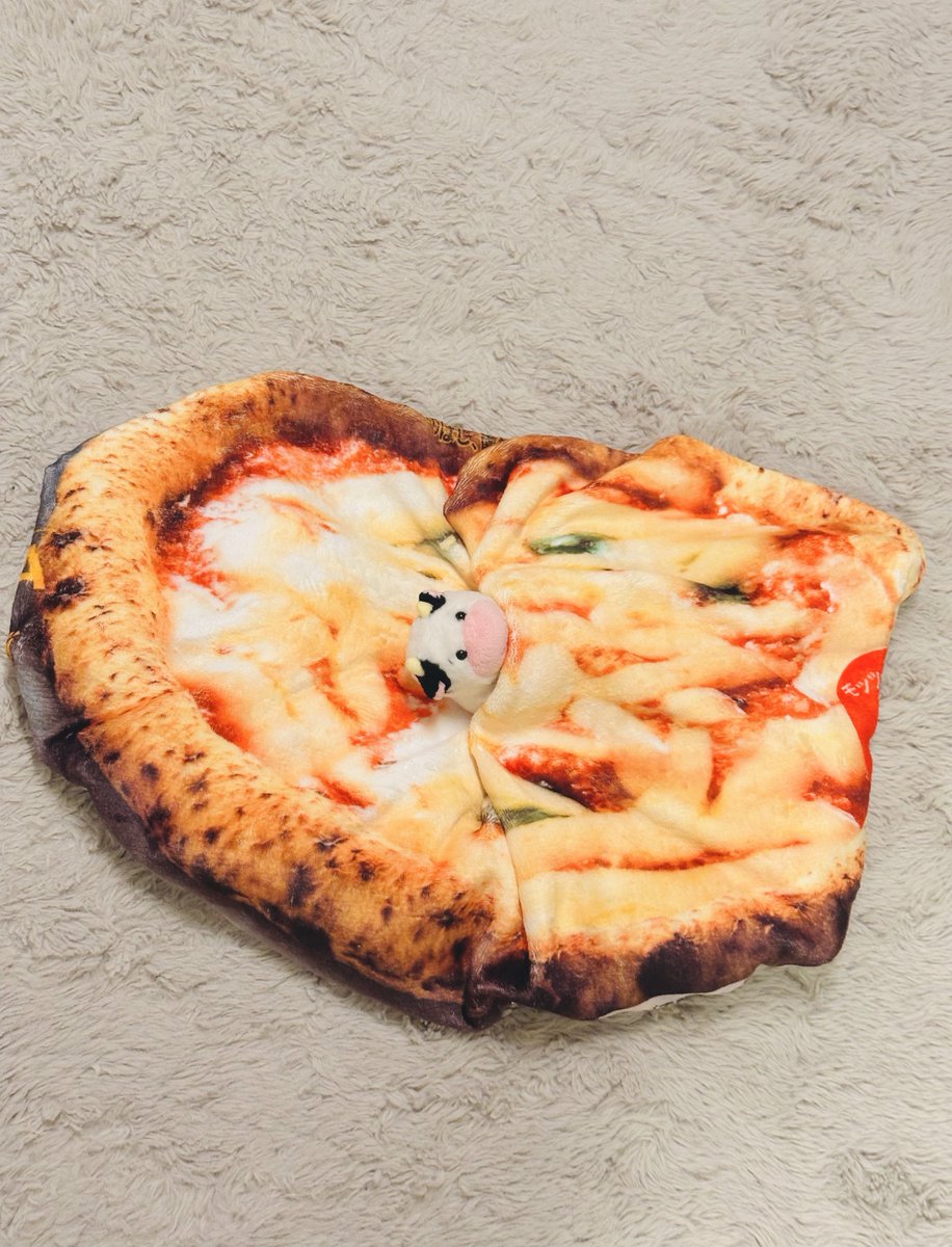 ソフト牛さんとの毎日 tweet media