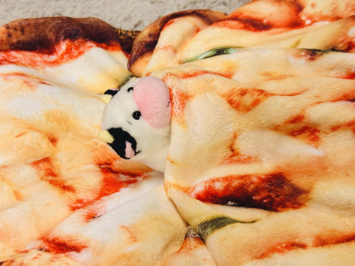 ソフト牛さんとの毎日 tweet media