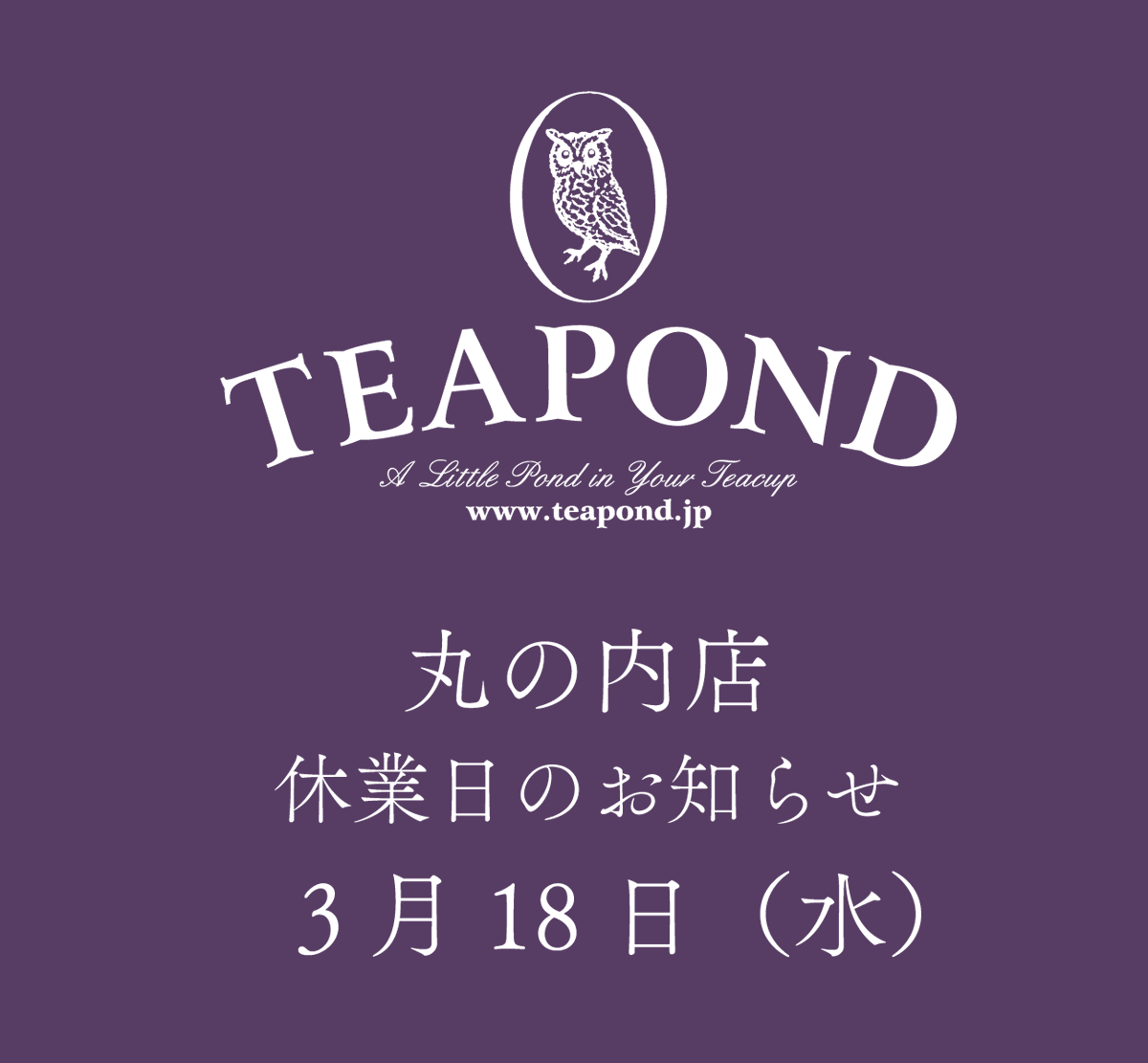 紅茶専門店TEAPOND tweet media
