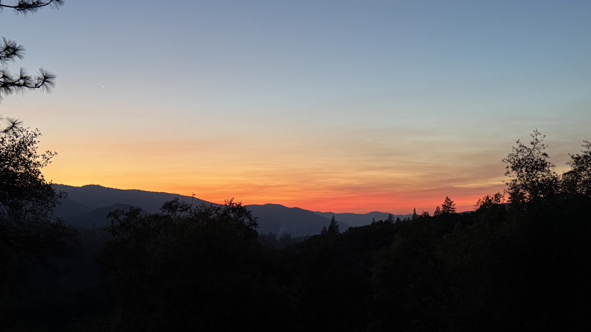 Beth Pratt tweet media