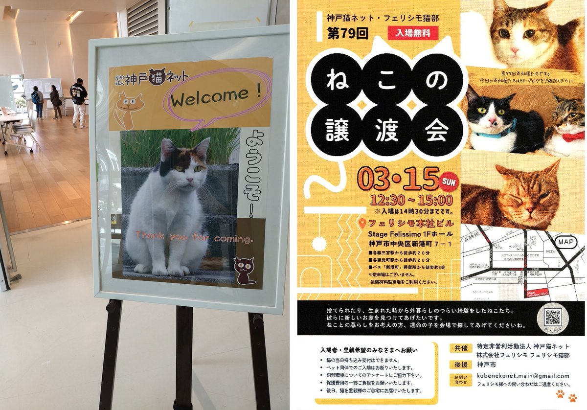 3/15ご来場いただき、ありがとうございました。
「譲渡会ってどんなの❓」見に来てくださった方もいて嬉しいです。猫に負担をかけないために開催🕒は２時間ちょっとですが、保護主も猫も運命の出会いを待っています。次回もよろしくお願いいたします🙇