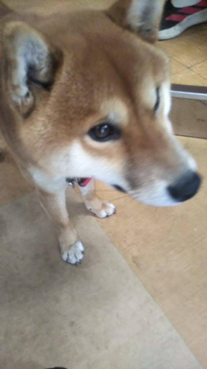 す〜さん🍻海楽参戦⛩️🌊 tweet media