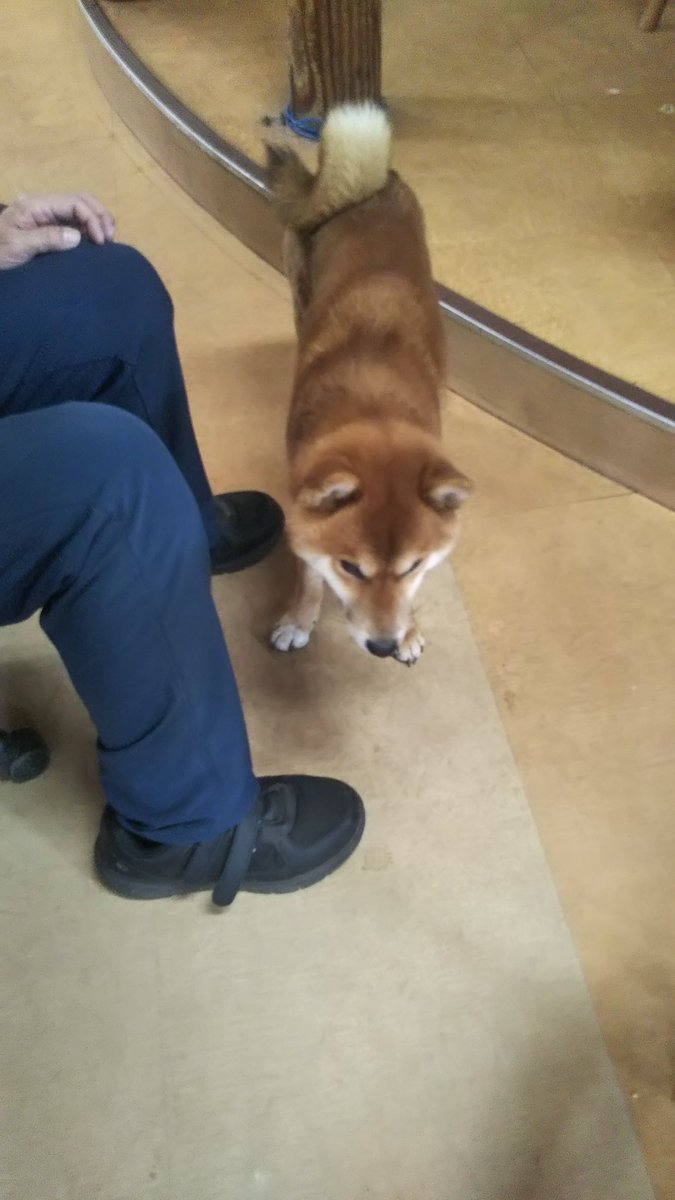 す〜さん🍻海楽参戦⛩️🌊 tweet media