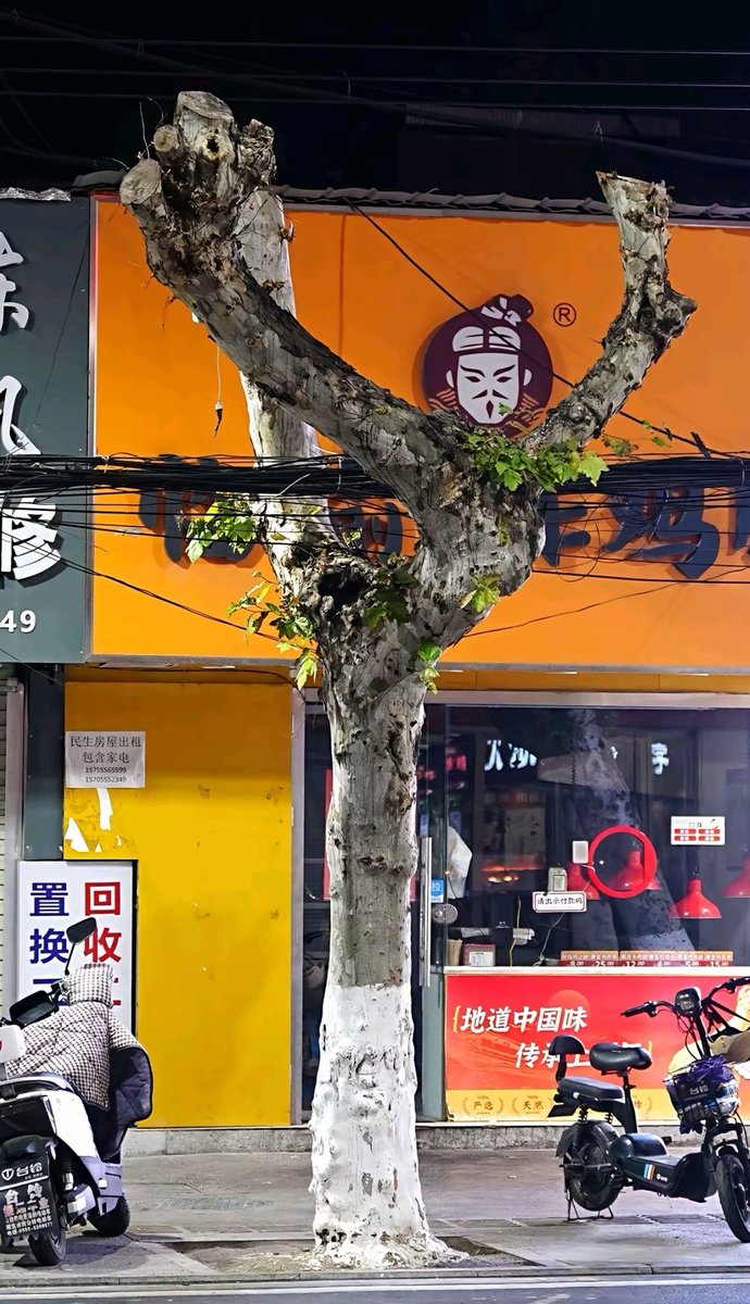 5xingchen5's tweet photo. 请露出你的八颗牙齿，上班快乐 #上班 #周一 https://t.co/ShMEglfKHN