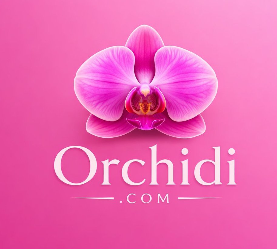 OptNames tweet media