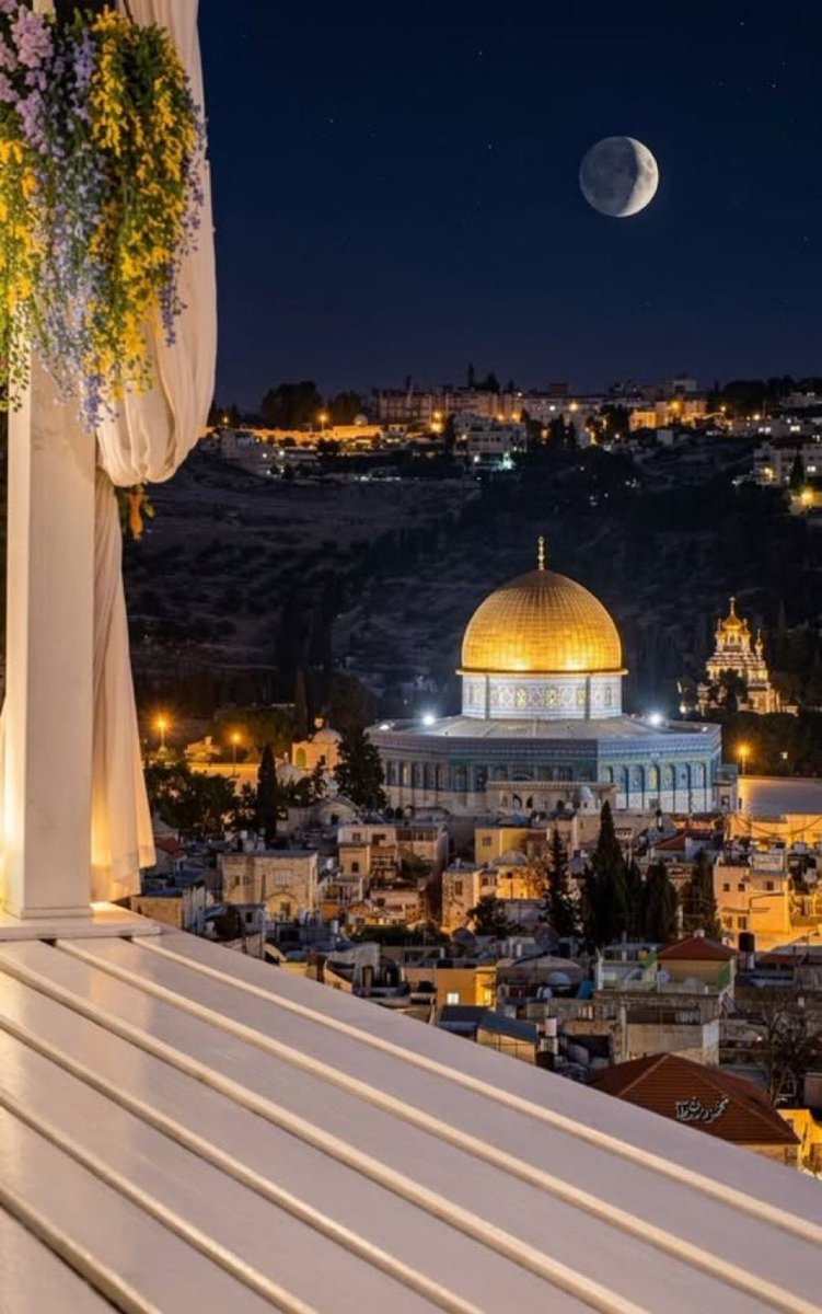 إيمان طوالبة tweet media