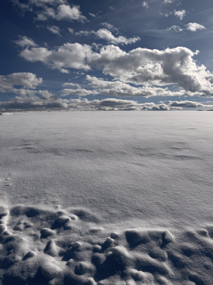 Sandra Payne tweet media