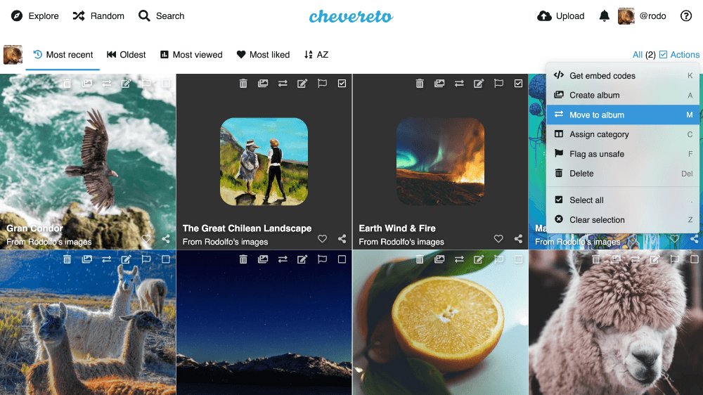 Daily Open-Source tweet media